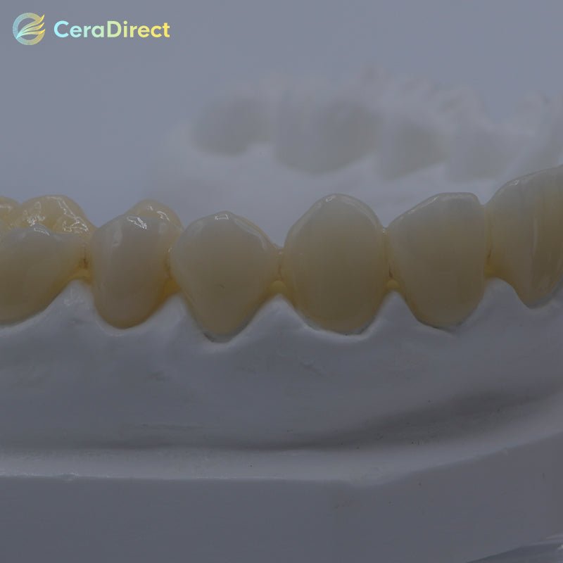 SHT+Multilayer — Multilayer Zirconia Disc Zirkonzahn System (95mm) - CeraDirect