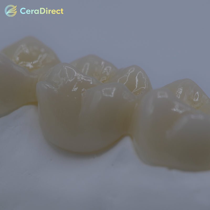 SHT— White Zirconia Disc AG System (71mm) - CeraDirect