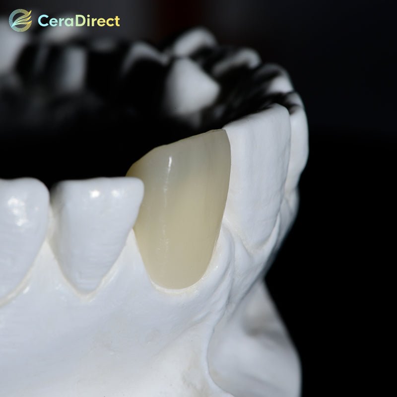 SHT+Color— Preshaded Zirconia Block Sirona System - CeraDirect